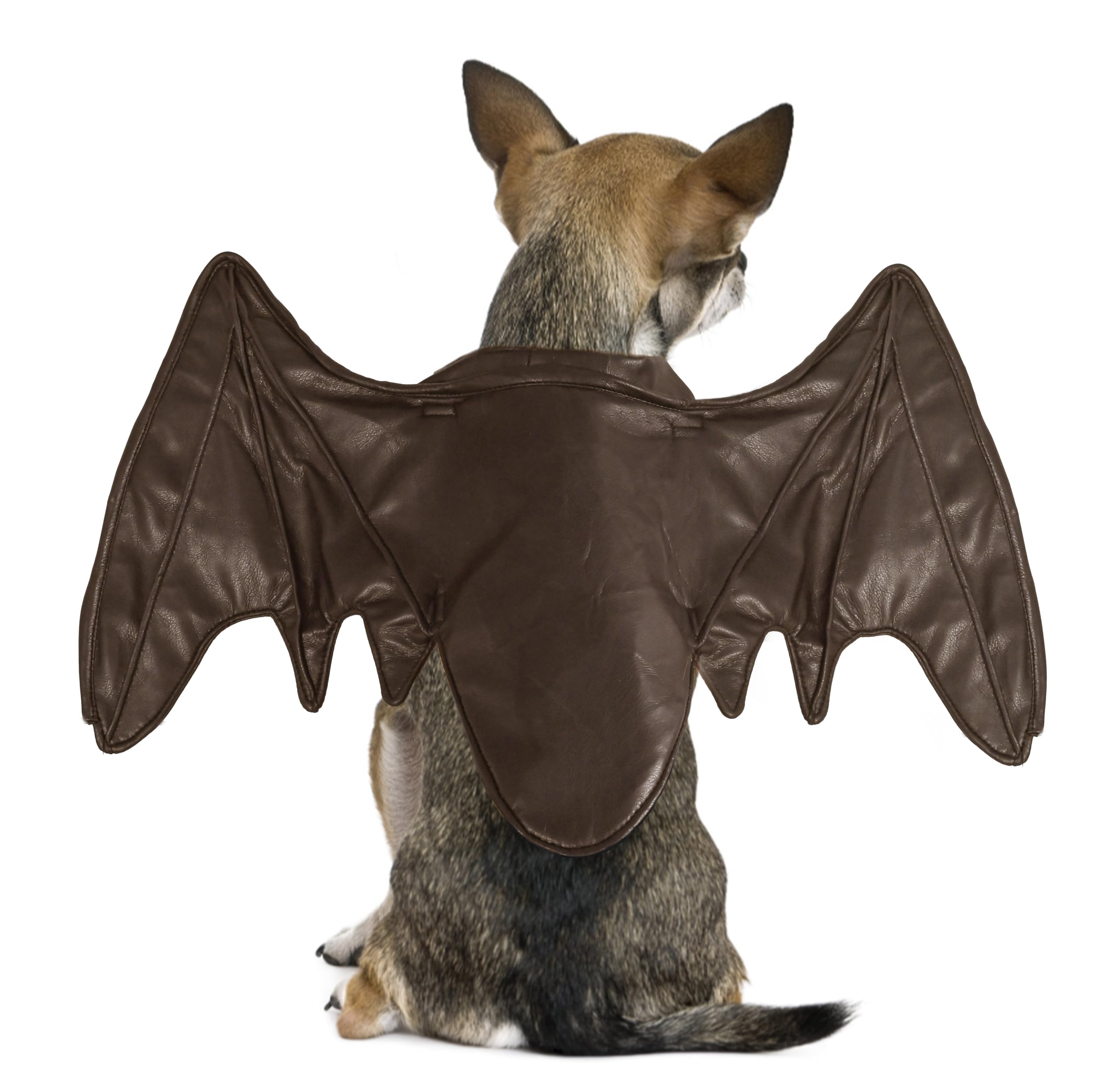 Funny Bat Dragon Wing Costumes for Dog Cute Furry Pet Clothing for Halloween (Coffee Wing, Size L), Large - Image 3