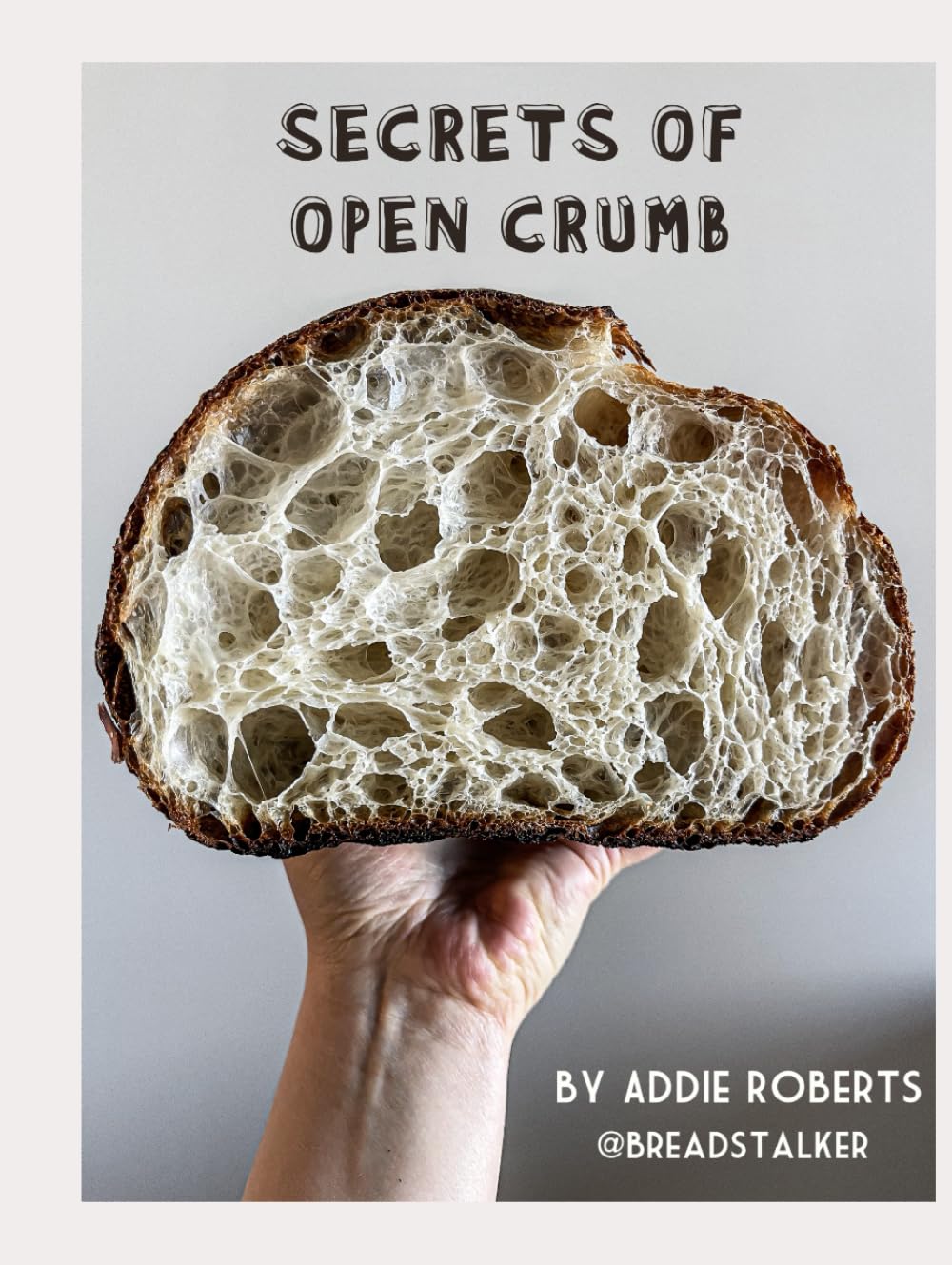 Secrets of open crumb      Hardcover – Large Print, July 24, 2025