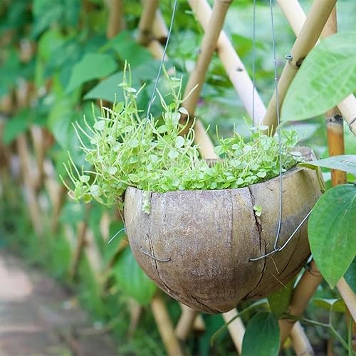 Miniatura 6 de Alambre de pasatiempo de calibre 20, alambre sólido galvanizado de 98 pies, alambre de acero multiusos ideal para manualidades, proyectos de
