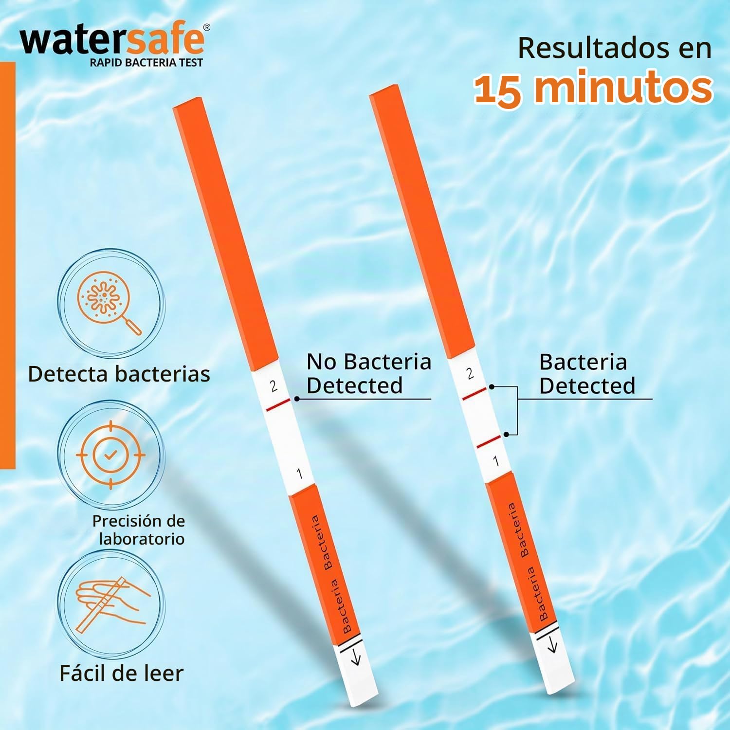 Watersafe Rapid Bacterias Prueba 10-Pack. Detecta E. Coli, Pseudomonas en 15 Minutos Ideal para Piscina, Spa & Recreativo Agua