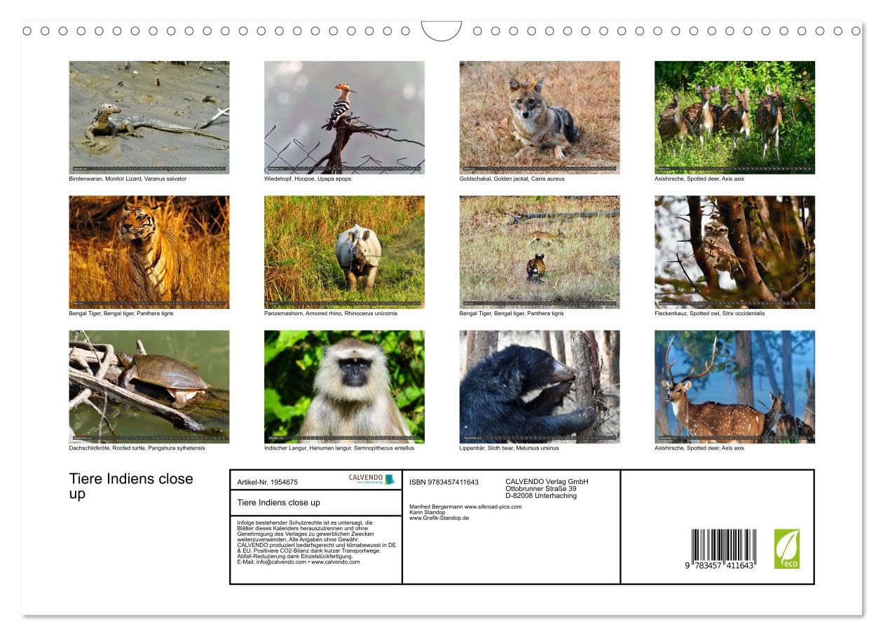 Tiere Indiens close up (Wandkalender 2026 DIN A3 quer), CALVENDO Monatskalender: Auge in Auge mit Wildtieren Indiens