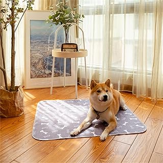 Trainingsunterlagen Hund Waschbar, Gesteppt Wiederverwendbare Hundetrainingspads rutschfest Haustier Urinunterlagen Saugfähige PIPI Matten Welpen Trainingspads (Knochen Muster,40x60cm)