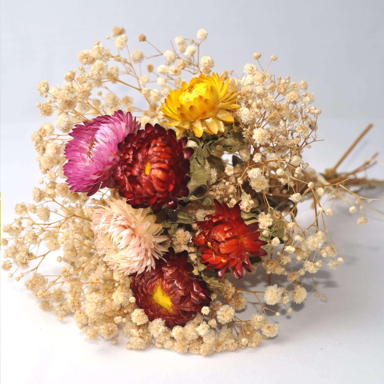 L'BREVOGA Bouquets de fleurs séchées, 100 % fleurs naturelles pour décoration de vase, fête à la maison (marguerite)