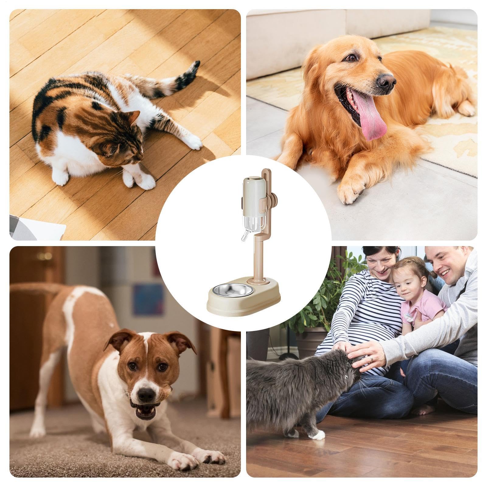 Hundefutterstation – Intelligente automatische Futternapf mit