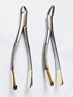 Dental Extracting Forceps 150 & 151 Tooth Extraction Tools T/C Layer | 2 Pcs Set