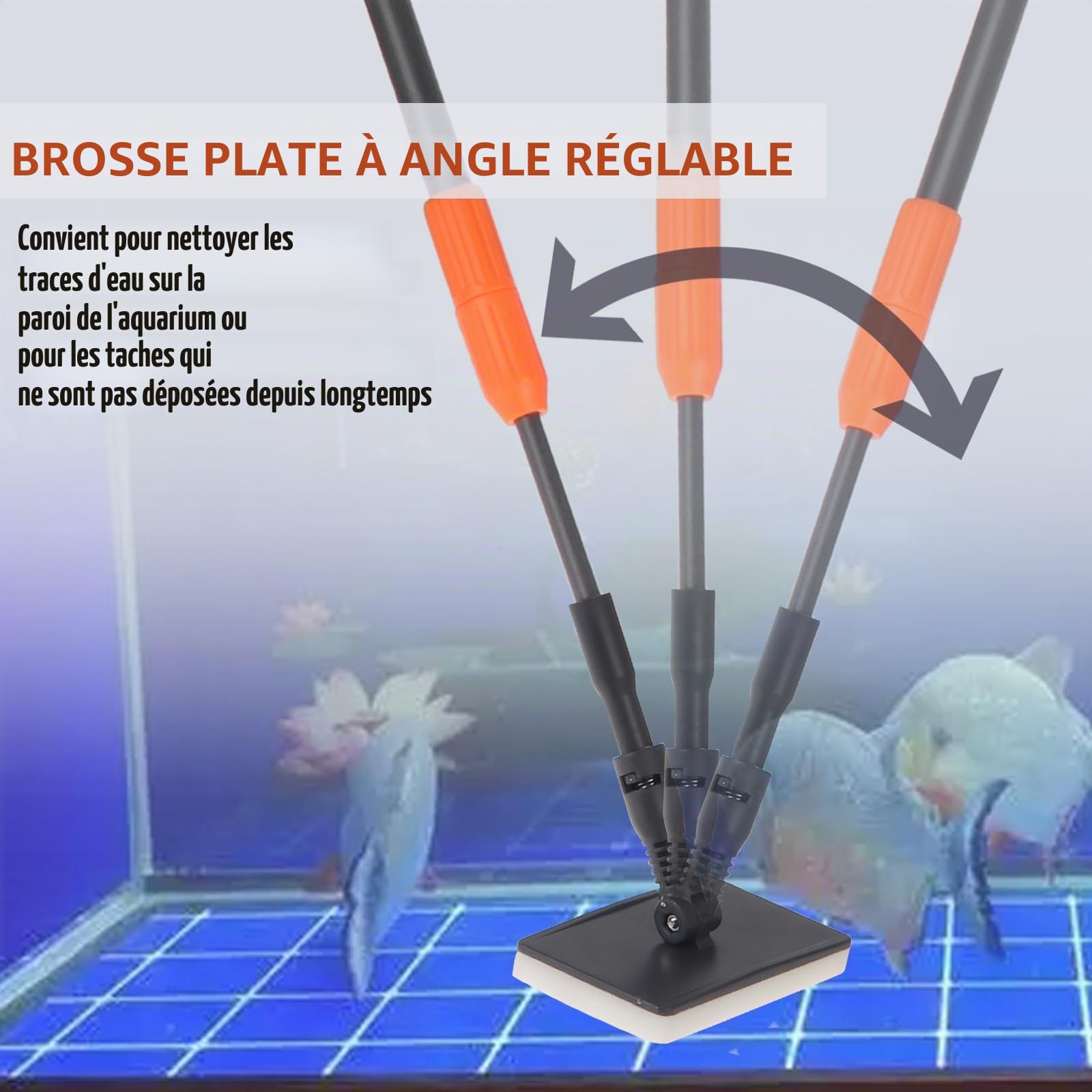 Coolty Outils de Nettoyage D'aquarium 6 en 1 avec Long Manche Télescopique, Grattoir, Filet de Pêche, Brosse de Nettoyage éponge, Râteau de Sable pour Le Nettoyage des Algues dans Les Aquariums