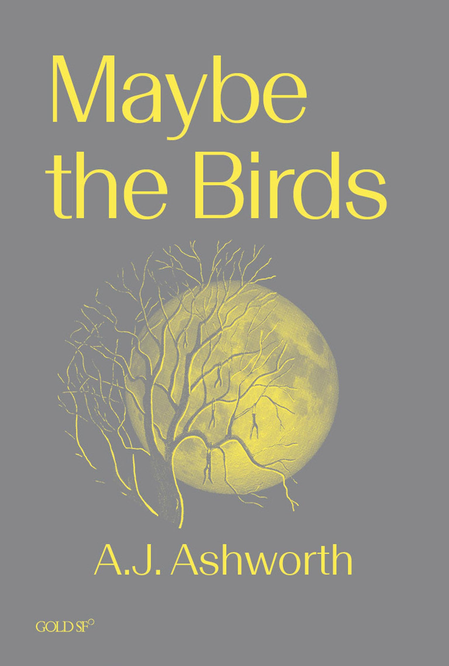 Maybe the Birds (Goldsmiths Press / Gold SF) - Ashworth, A. J.