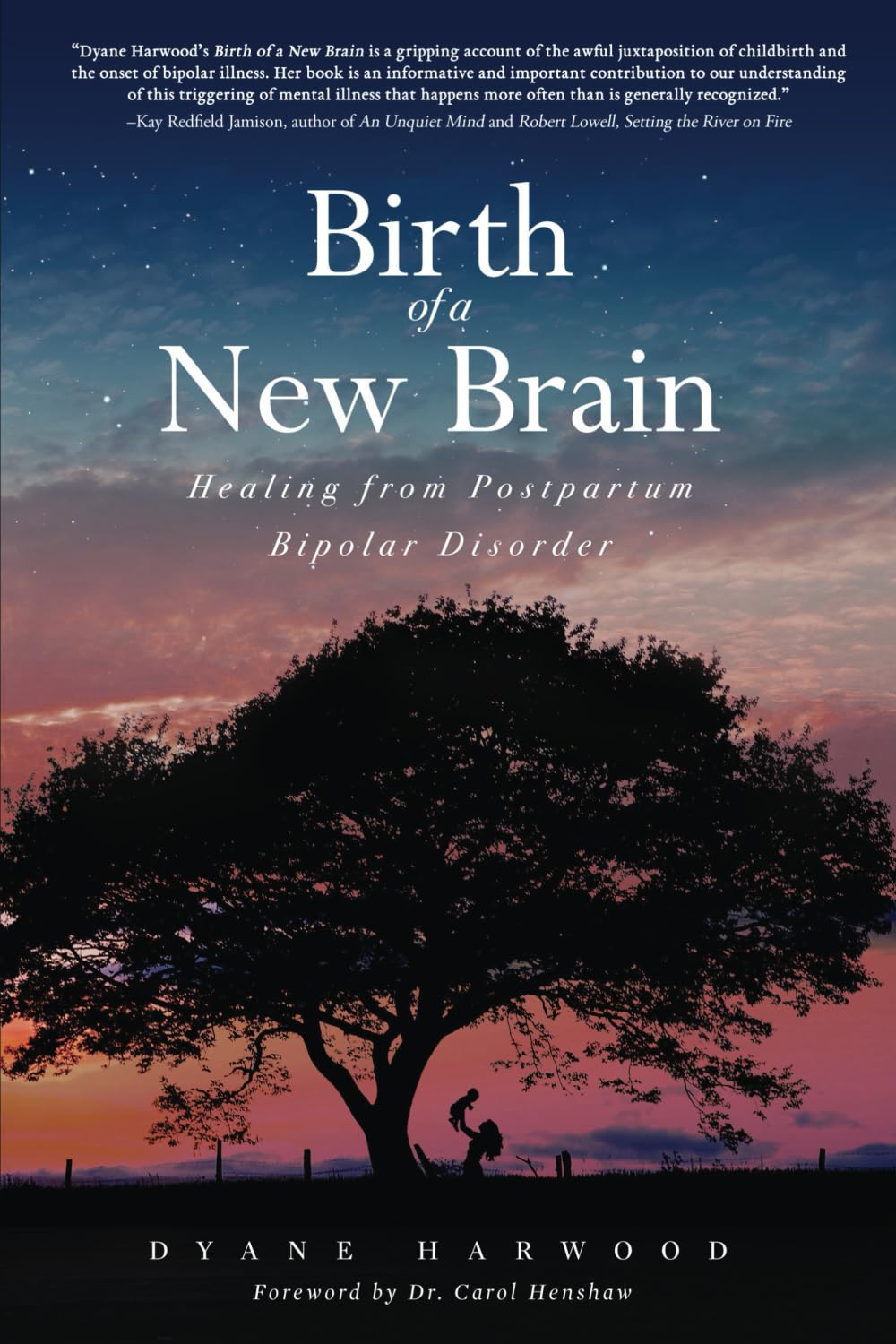 Birth of a New Brain: Healing from Postpartum Bipolar Disorder