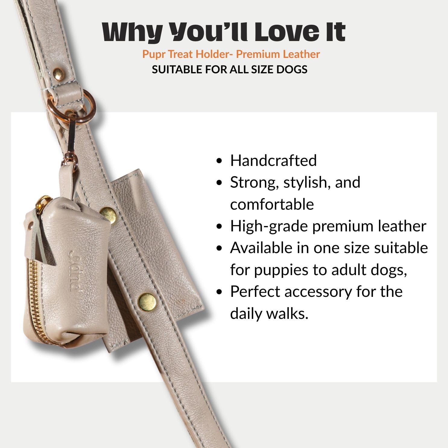 PUPR Premium Dog Treat Holder Pouch � 100% Soft Leather with Golden Fittings | Stylish, Durable & Convenient 4 x 2.5 Inch Pouch | Easy Attachment for Walks & Training (Sky Blue) 3