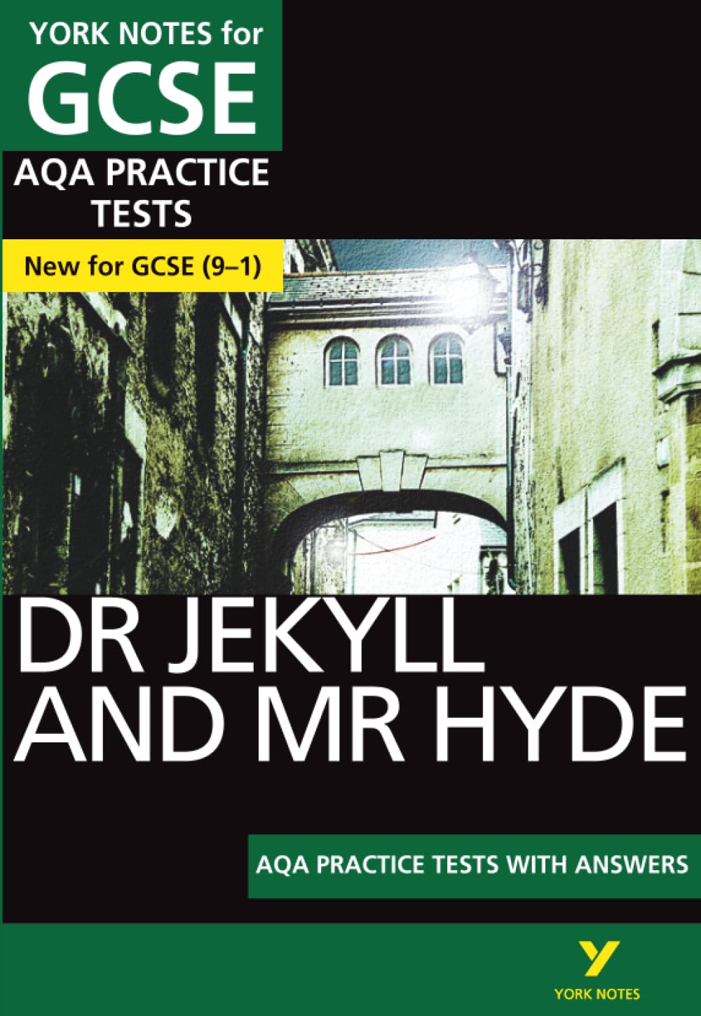 Dr Jekyll and Mr Hyde AQA Practice Tests with answers  by Anne Rooney PAPERBACK