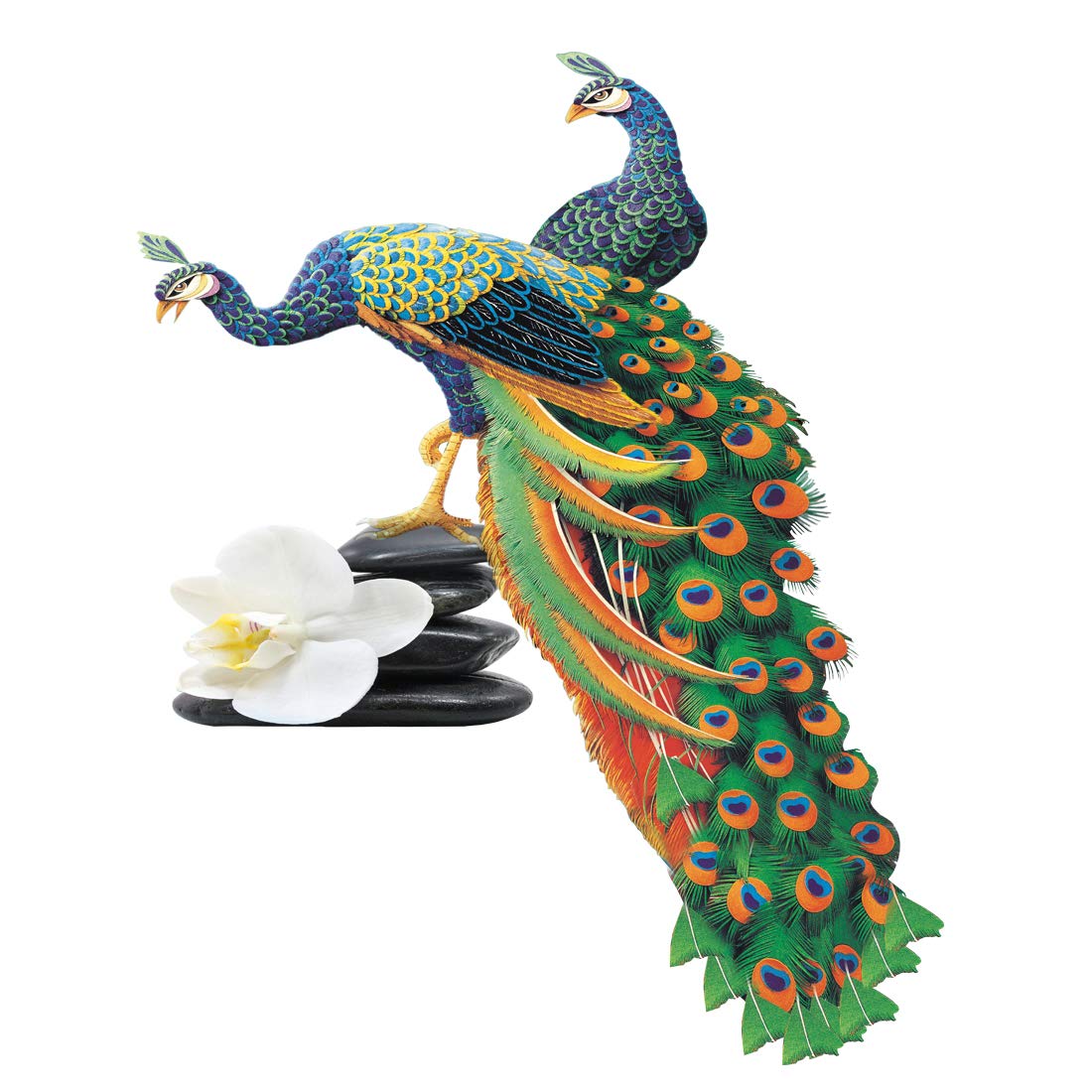 Rangoli Model Number: White Vinyl Sticker-586 Vinyl Modern Animal Wall Sticker (1.96 X 20.86 X 1.96 Inches, Multicolour) (B084C4DWHN) Amazon Price History, Amazon Price Tracker