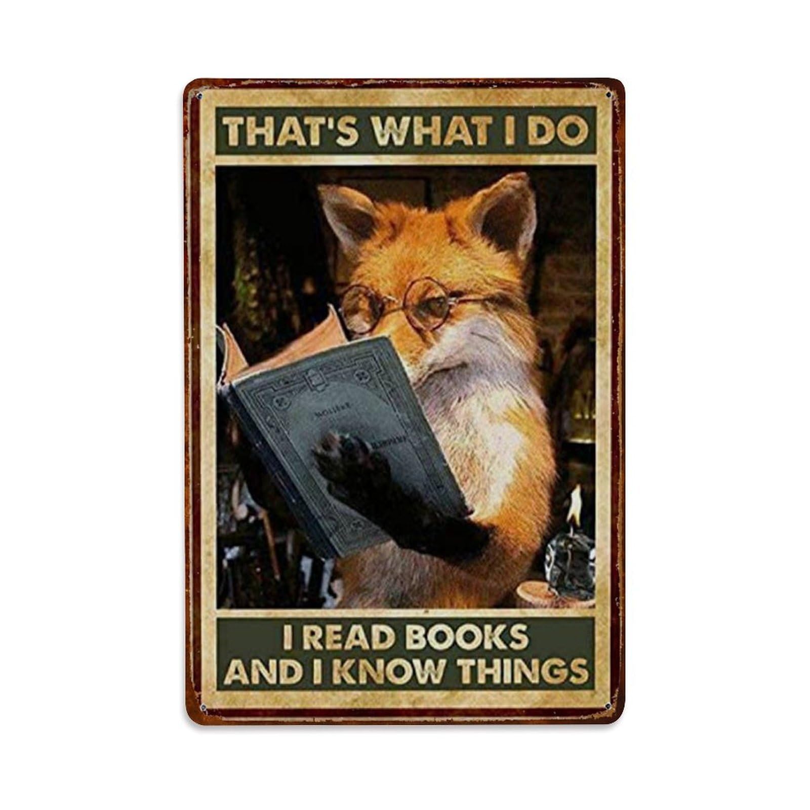 Rkundrne Vintage Fox That's What I Do I Read Books And I Know Things Metal Tin Sign Garden Bedroom Cafe Bar Man Cave Home Wall Decor Metal Poster 8X12 In