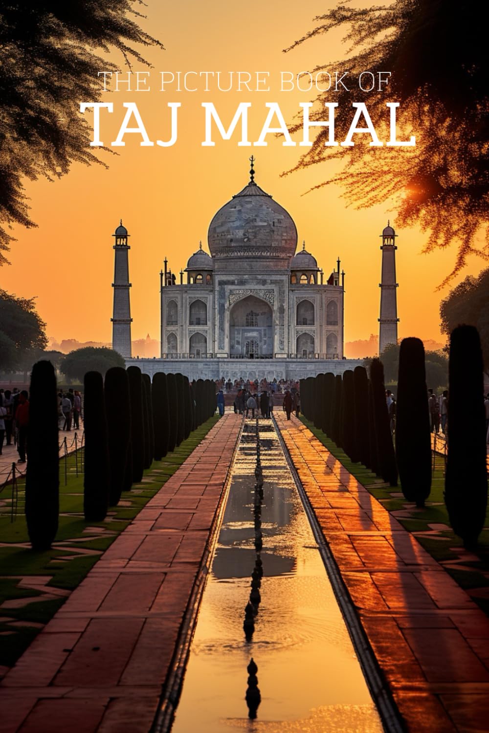 The Picture Book of the Taj Mahal: A Calming Large-Print Photo Book for Seniors with Dementia, Alzheimer’s & Memory Loss