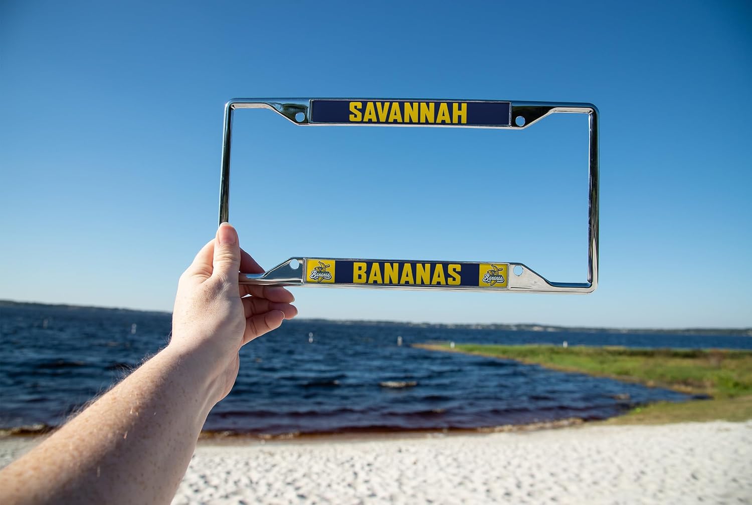 Desert Cactus Savannah Bananas License Plate Frame Baseball Metal for Front or Back of Car Officially Licensed (Style A)