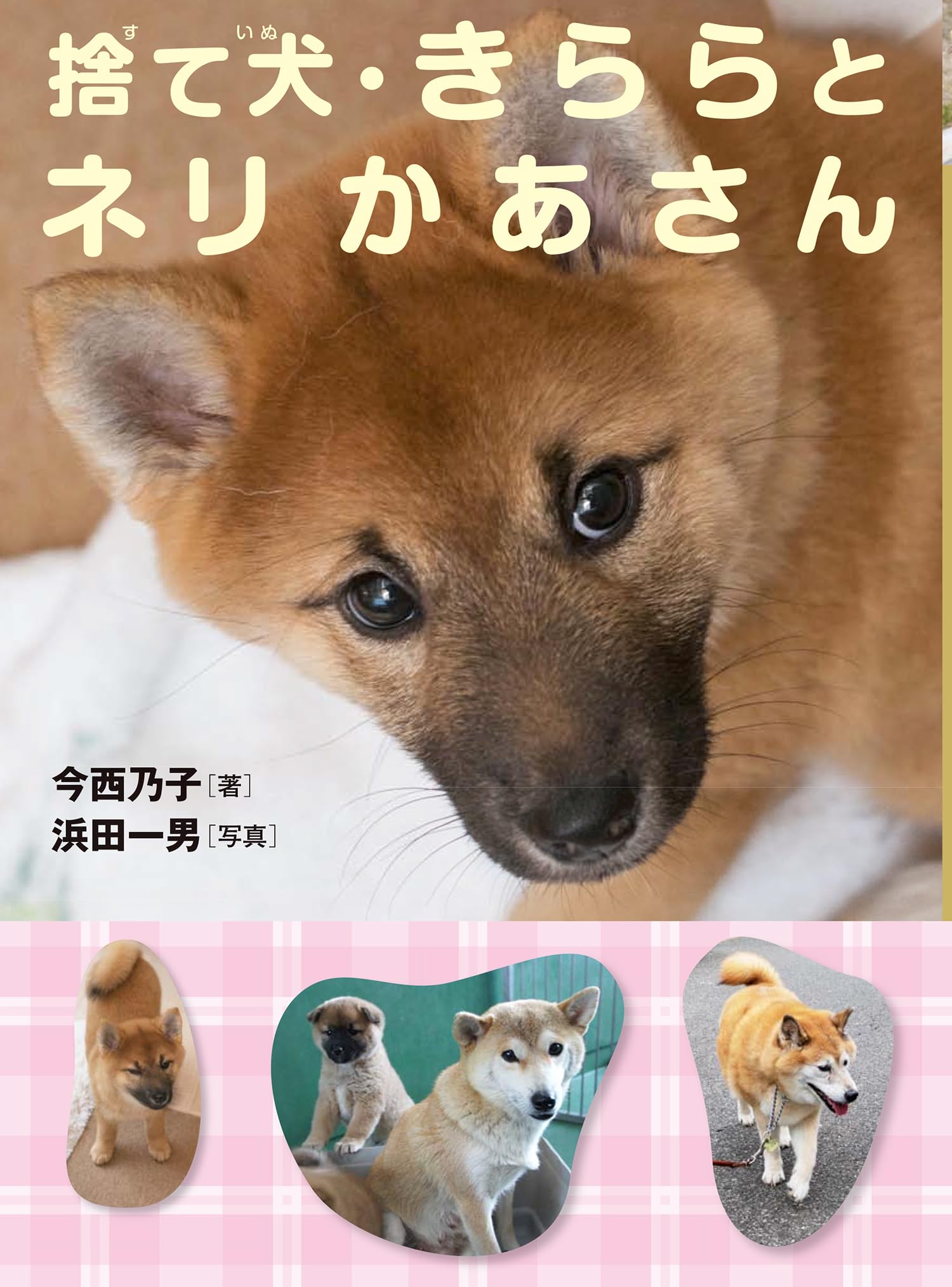 Amazon.co.jp: 捨て犬・きららとネリかあさん : 今西乃子, 浜田一男: 本