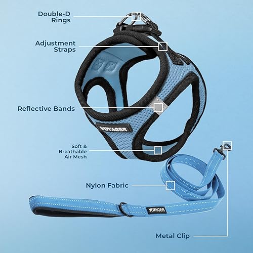 Miniatura 3 de Best Pet Supplies - Arnés para perro para todas las estaciones Step-in Air, de malla y con tiras reflectantes, con correa de 5 pies de largo con