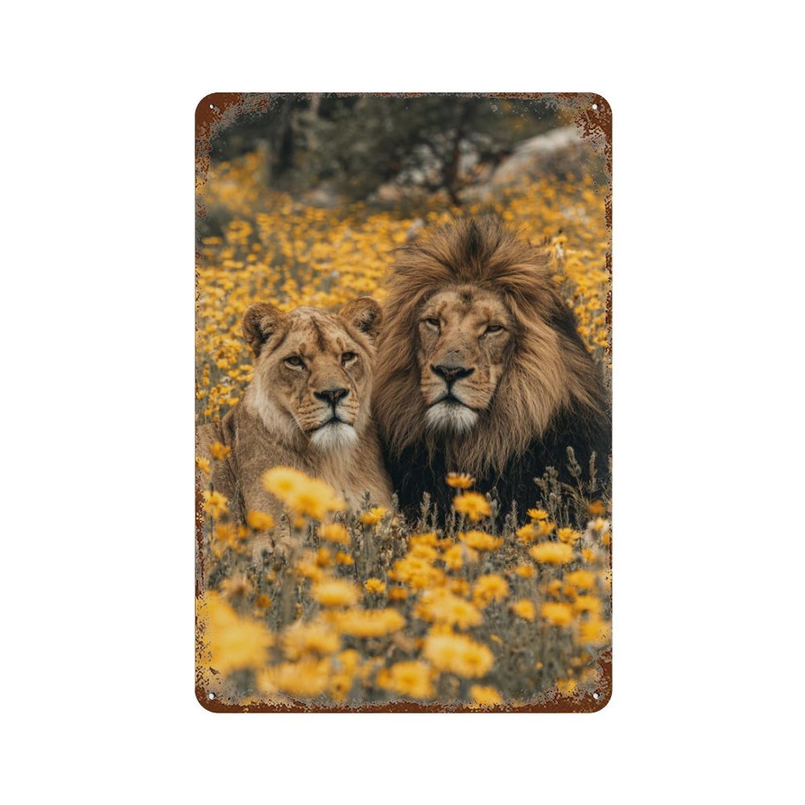 Lion Couple in Yellow Flowers-1 Vintage Metal Tin Sign 11.8"x7.9", Ideal for Living Room, Hallway And Home Decor