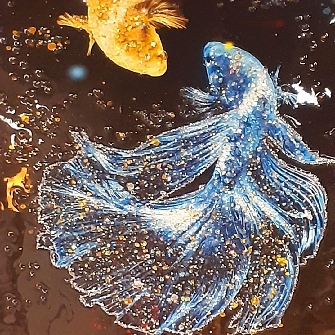 Amazon.co.jp: 輸入雑貨 天然石 『金魚』 水晶石 クリスタル 
