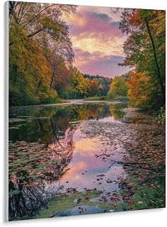 Shrandi Autumnal Forest Pond at Sunset Paint by Number, Adult Paint by Number Kits, Painting Kits for Adults Digital Oil Painting Gift and Home Wall Decor 16 * 20inch (40 * 50CM