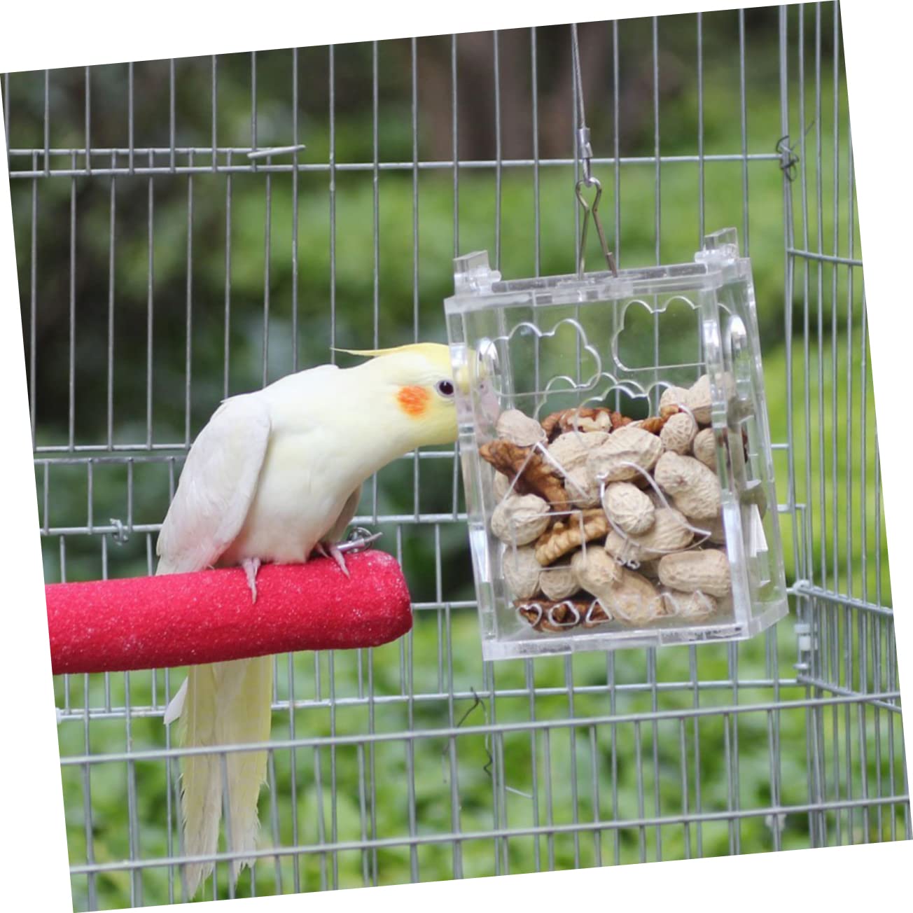BESPORTBLE 3 Pezzi Di Giocattoli Per Uccelli Mangiatoie Per Pappagalli Giocattolo Educativo E Di Intelligenza Realizzati in Acrilico Per Pappagalli Calopsitte E Mini Ara