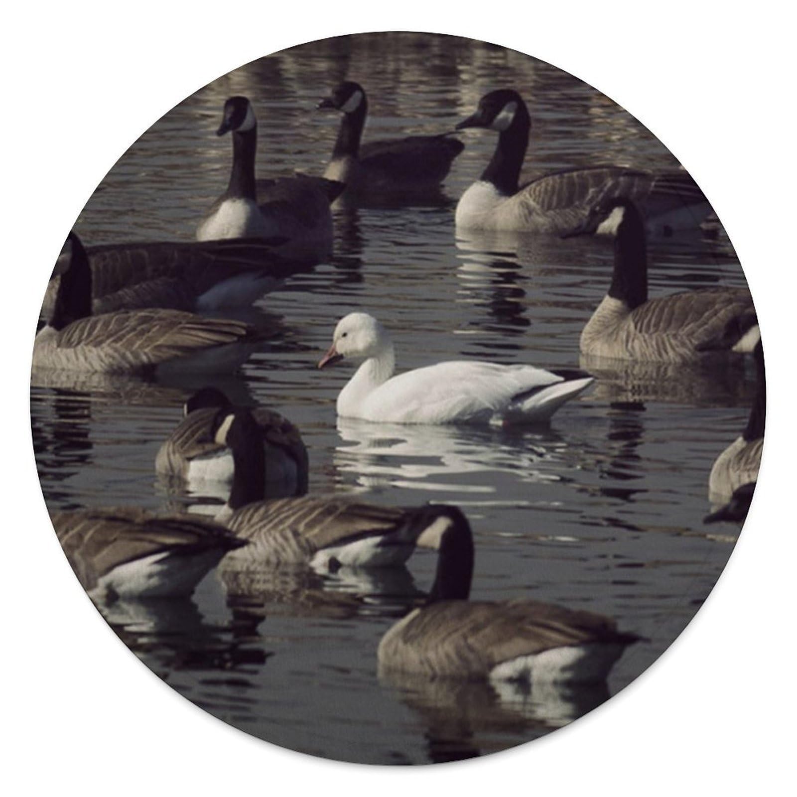 FekiLoot Goose Round Flannel Throw Blanket, 59.1 Inch Diameter Single Sided Printed Fleece Blanket, Multipurpose Foldable Decor Cover for Couch Office Camping Home Furnishing