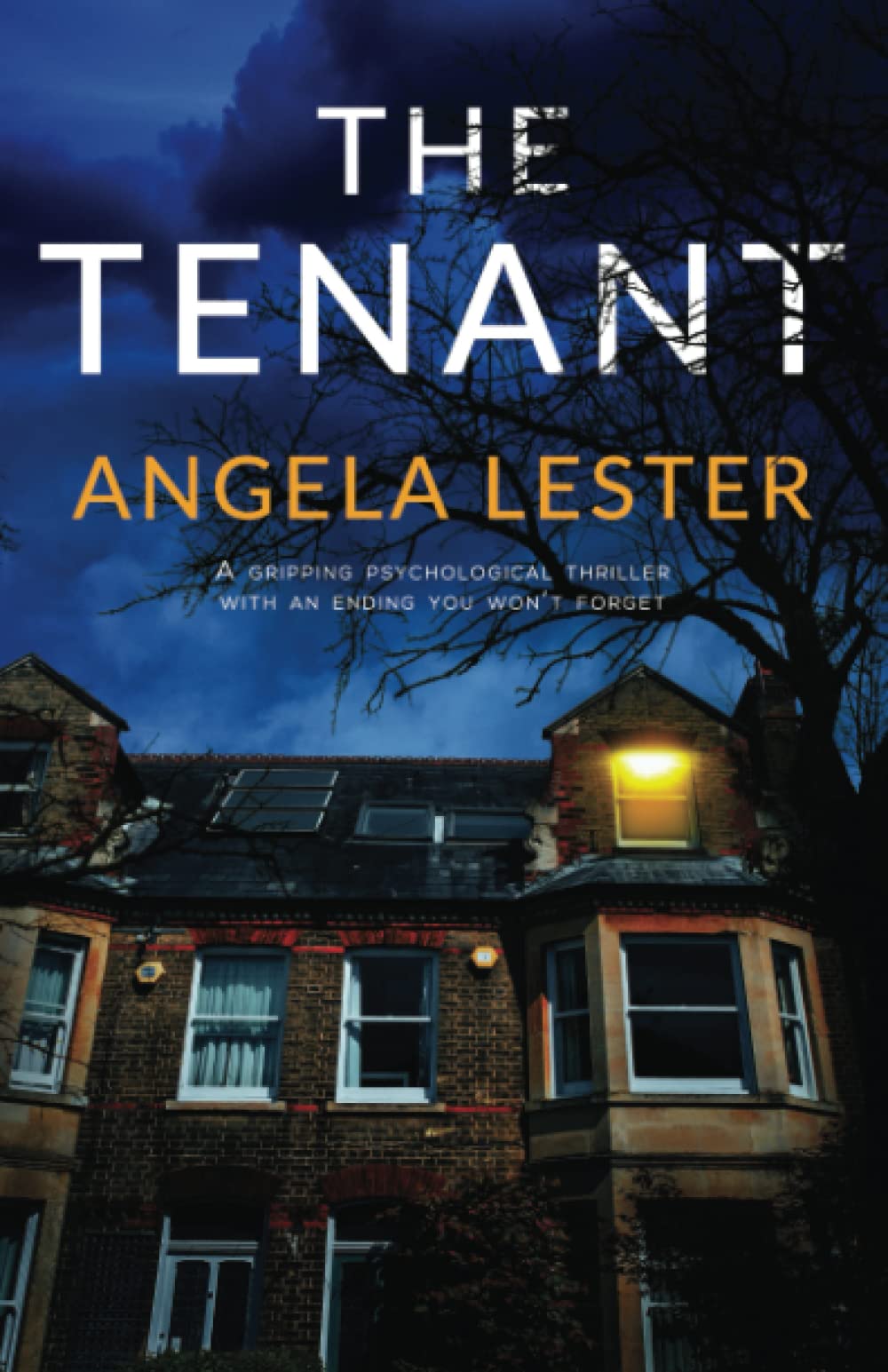 The Tenant: A gripping psychological thriller with an ending you won't forget