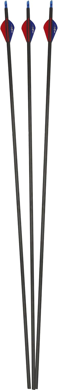 SAS Rage 30" 350 Carbon Arrows with 2" Vanes - 12/Pack for Archery Bows (2" VaneTec Vanes)
