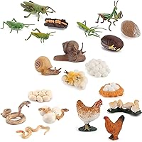 Vista 1 de Figuras de animales, 20 juguetes de insectos, modelo de ciclo de vida de acción, juguete de figuras de insectos de plástico, juguetes educativos