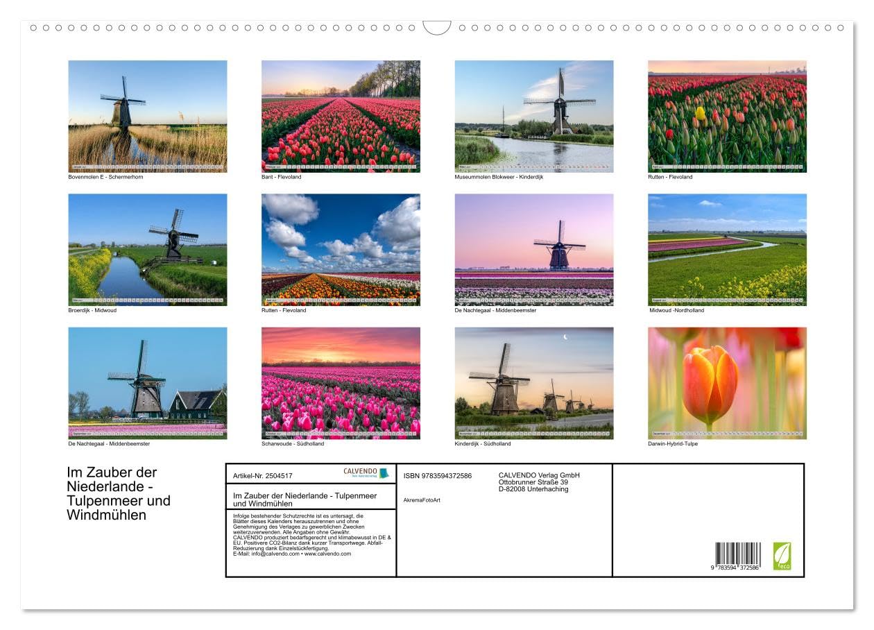 CALVENDO · Im Zauber der Niederlande - Tulpenmeer (Kalender 2027) | DIN A2 Querformat · Wandkalender · Windmühlen · Blütenpracht trifft Mühlenromantik