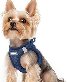 rabbitgoo Hundegeschirr Kleine Hunde, Step-in Weiches Mesh, Marineblau | Einfach anzulegen, Atmungsaktiv & Reflektierend, Ausbruchsicher mit Sicherheitsverschluss für Kleine Hunde Gassi, XS