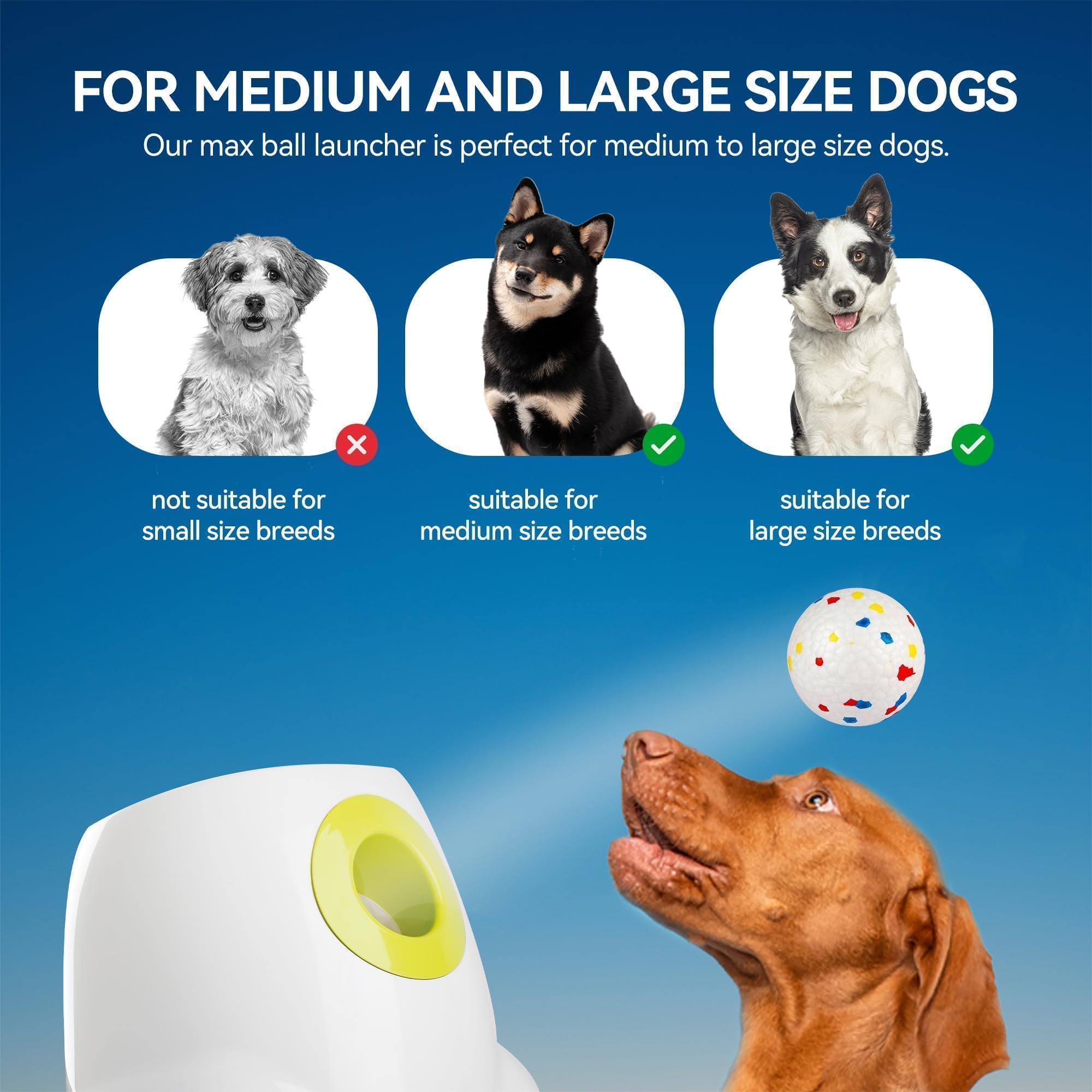 ALL FOR PAWS Lanzador automático de bolas para perros, lanzador interactivo de pelotas para mascotas, 6 bolas incluidas (2.5 pulgadas) para perros medianos a grandes, máquina de búsqueda