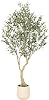 Realead 6ft Artificial Olive Tree with Tall Exquisite Planter - Realistic Faux Olive Tree with Thick Trunk and Lifelike Fruits - Large Fake Olive Tree for Home Office Decor