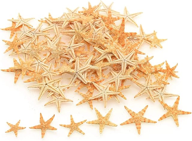90 Pcs Portable Small Starfish Star Sea Shell Natural Beach Craft DIY Making Ornament for Home Party 0.4 inch-1.2 inch Attractive (Yellow)