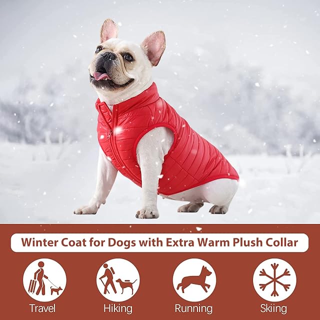 Foto 3 de 6 de PETCUTE Abrigo Invierno Perro,Abrigo Impermeable para Perros Resistente al Viento,Chaqueta para Mascotas…