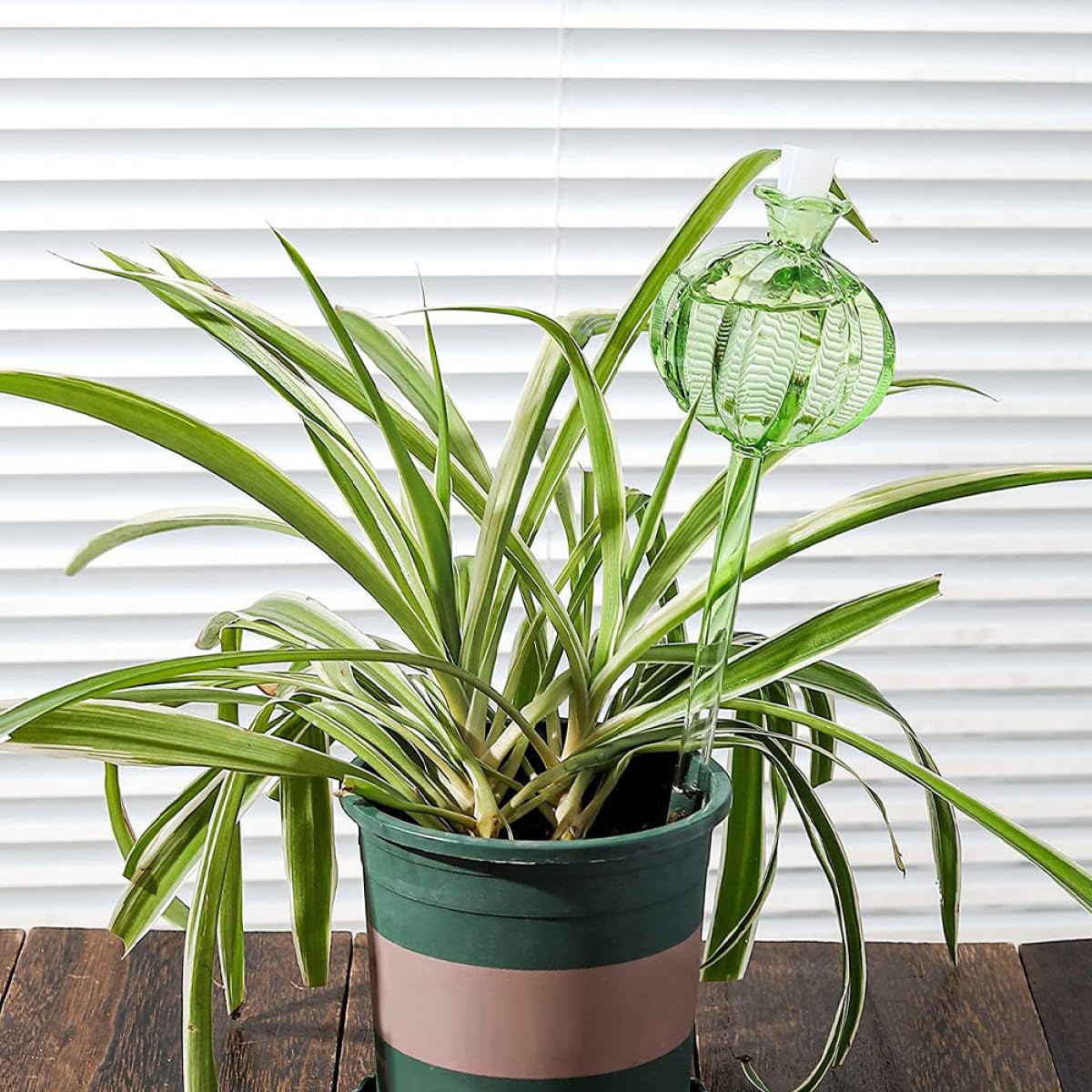 Veemoon Lot de 4 Globes D'arrosage Automatiques en Verre Forme Cactus Transparent, Système D'arrosage Lent pour Plantes en Pot, Jardinage Intérieur et Extérieur, Accessoire Pratique