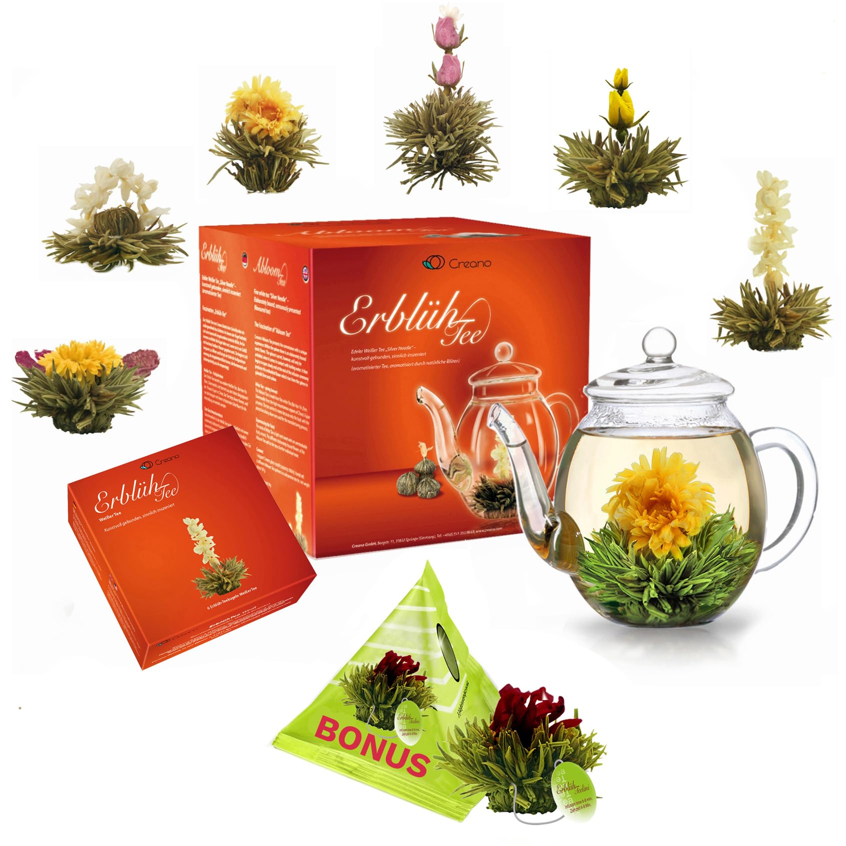 Creano Teeblumen Geschenkset - Erblühtee mit 500ml Glaskanne & 6x Weißer Tee + Teelini Grüntee Bonuskugel - 8 teilig