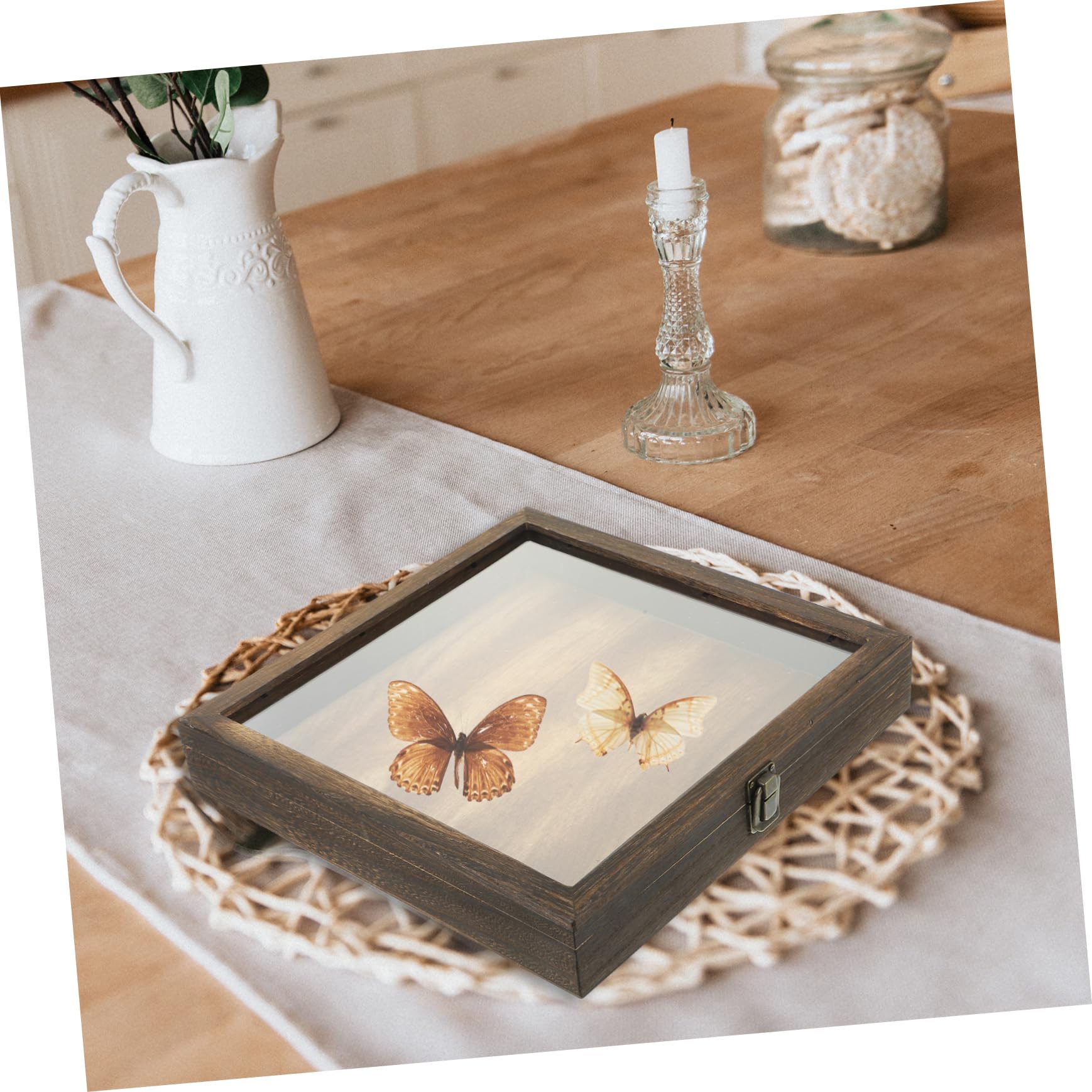 RORPOIR Vintage Specimen Display Box Open Shadow Box for Entomology Kit Insect Style