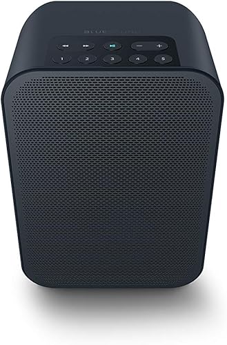 Bluesound Pulse Flex 2i Altavoz inteligente inalámbrico portátil para varias habitaciones con Bluetooth, color negro, compatible con Alexa y Siri