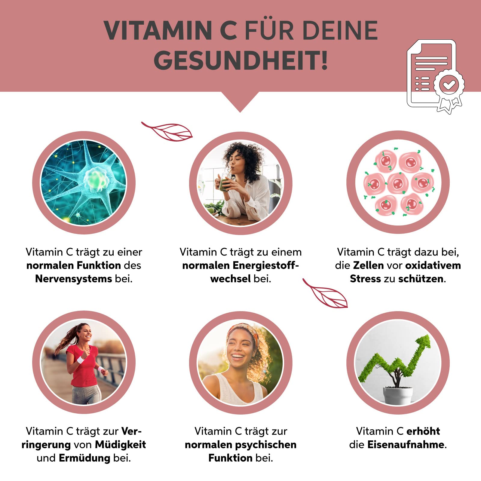 Camu Camu Pulver 1kg hochdosiert mit natürlichem Vitamin C aus Brasilien | 100% ohne Zusatzstoffe in Rohkost-Qualität