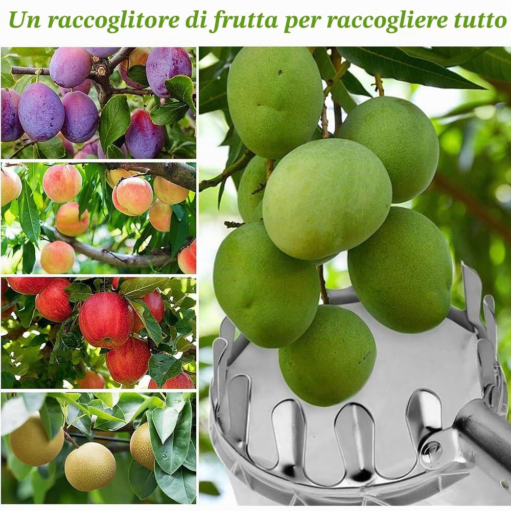 Raccogli Frutta da Albero,4M Raccogli Frutta Telescopico,Raccoglitore di Frutta Fatto in Acciaio Inossidabile ,Con Sacchetto di Cotone,Adatto per Mele,Agrumi e Ciliegie