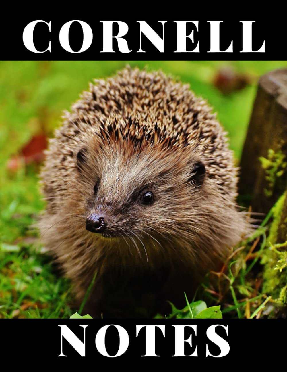 Cornell Notes Notebook College Ruled For Students - Hedgehog Cover: Large (8.5x11") 120 Pages On A Beautiful Glossy Cover (Back To School Study ... Weekly Timetables, Revision Planner)