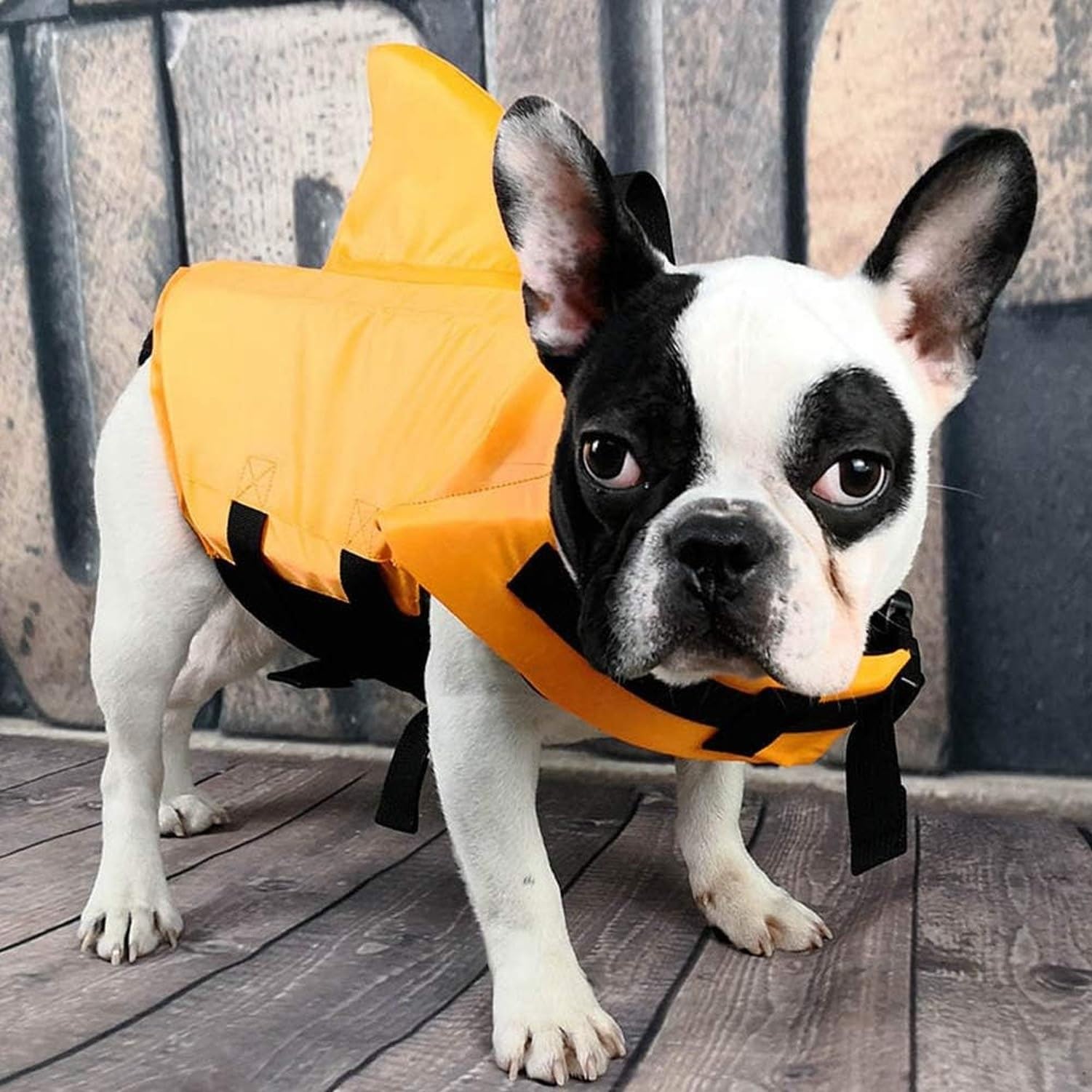 Chaleco Salvavidas para Perros, Flotador de Mascotas de Ripstop, Vestido de Baño de Seguridad Acuática para Perros Pequeños, Medianos y Grandes, para Piscina, P, Orange, XXL