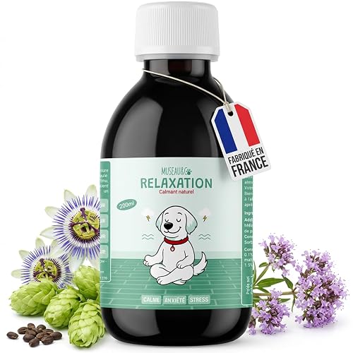 Hocico & Co Phyto Zen - Calmante para Perros - 200 ml - Anti Stress Gato y Perro - Ansiedad - Ansiedad