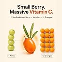 Daily All Day Himalayan Sea Buckthorn Berry Juice Cold-Pressed Pulp Concentrate, Rich in Omega 3, 6, 7 & 9, Natural Vitamin C & Antioxidants for Skin Glow, Immunity & Gut Health, No Added Sugar, 1500ml, Pack of 3 gallery image