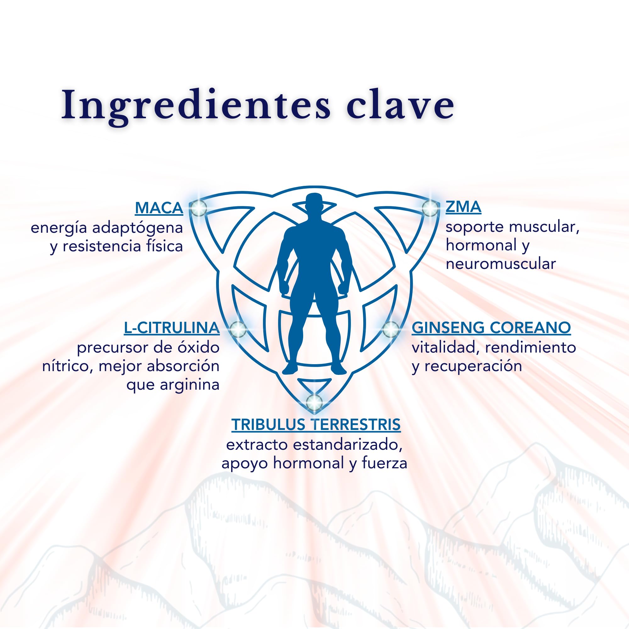 Tribulus terrestris ZMA Maca Ginseng Arginina Formula Completa 28 Dosis