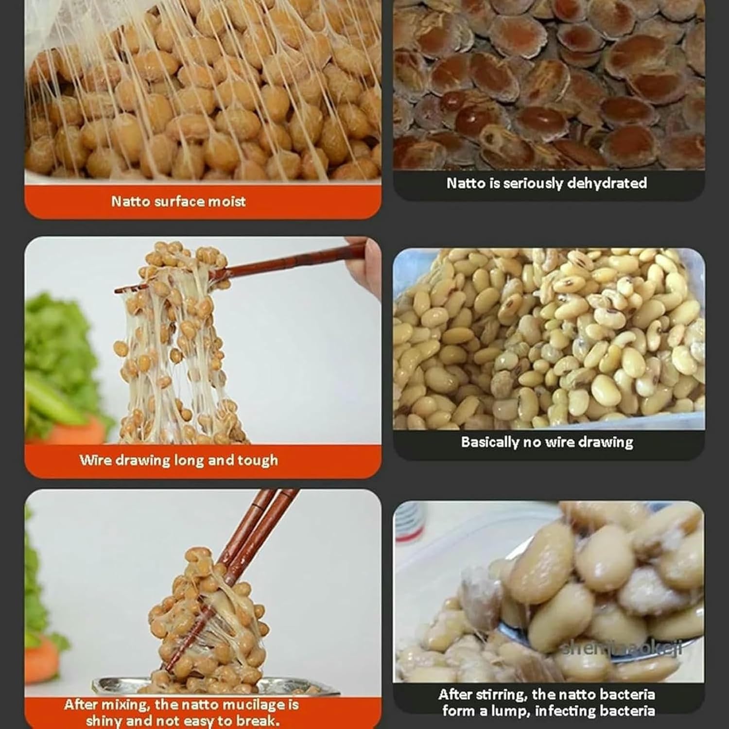 Electric Natto Maker, Home DIY Yoghourt Container Constant Temperature Yogurt Natto Fermentation Machine Rice Wine Maker, with Smart Panel Control, Adjustable Temperature~/