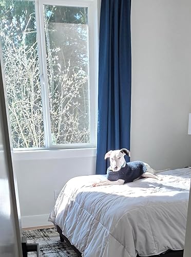 Review Image by Jennifer Ackley