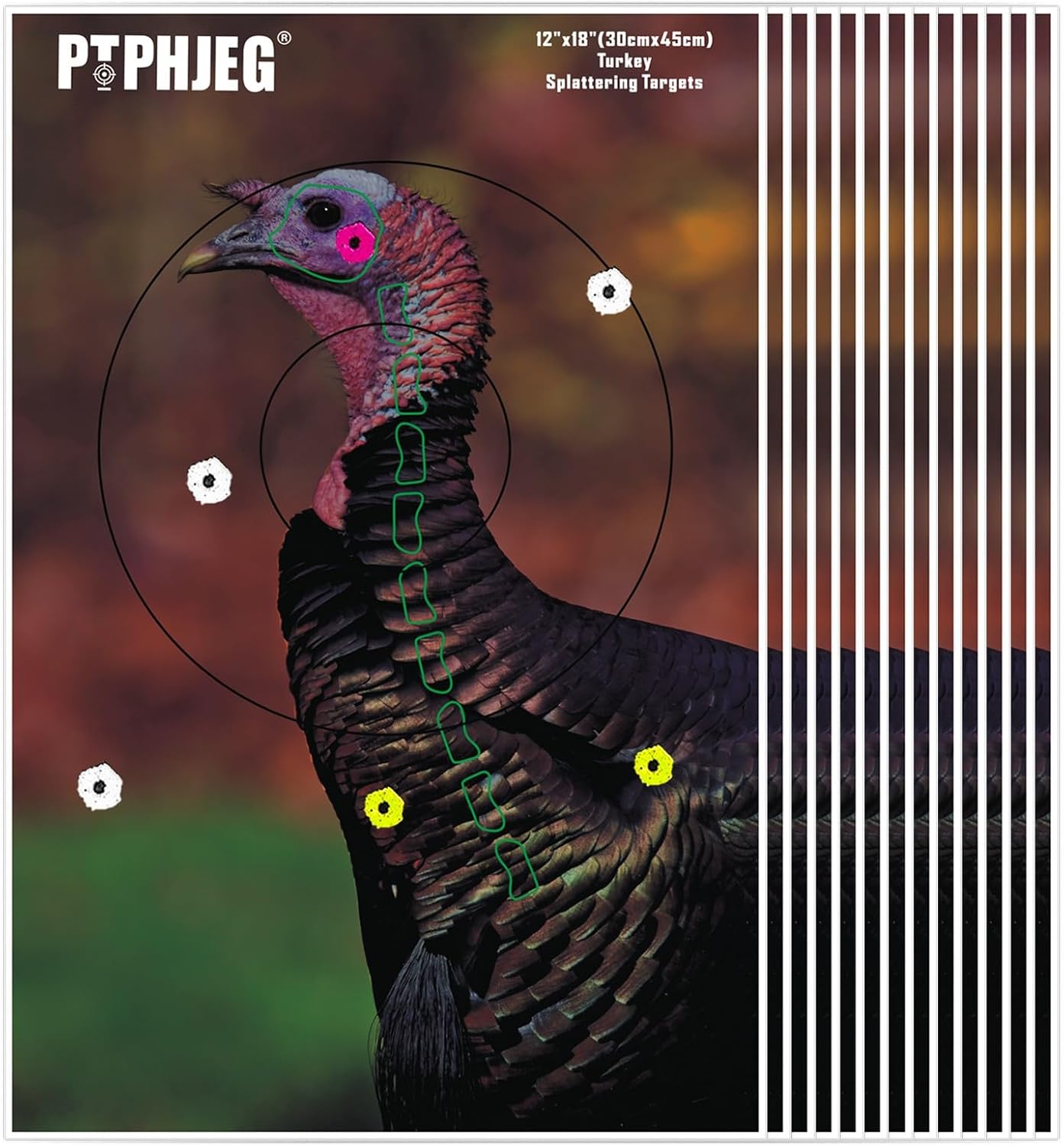 12"x 18" Small Game Animal Targets & Reflective Turkey Targets - Photo-Realistic Instant Splatter Shot Targets - for All Guns and calibers - 10/25/50 Pack