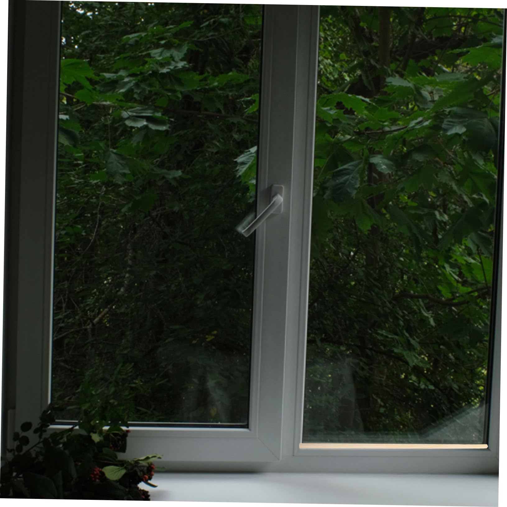 15 Rustic Interior Window Trim Ideas StepbyStep Tutorial And FAQs