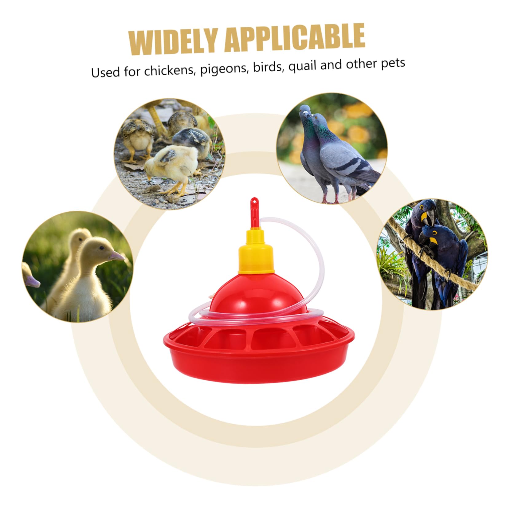 Milisten Abbeveratoio Automatico Strumento Essenziale in Pp per Pollame Design Unico e Materiale Stabile per Allevamento di Galline in Zoo e Negozi di Animali